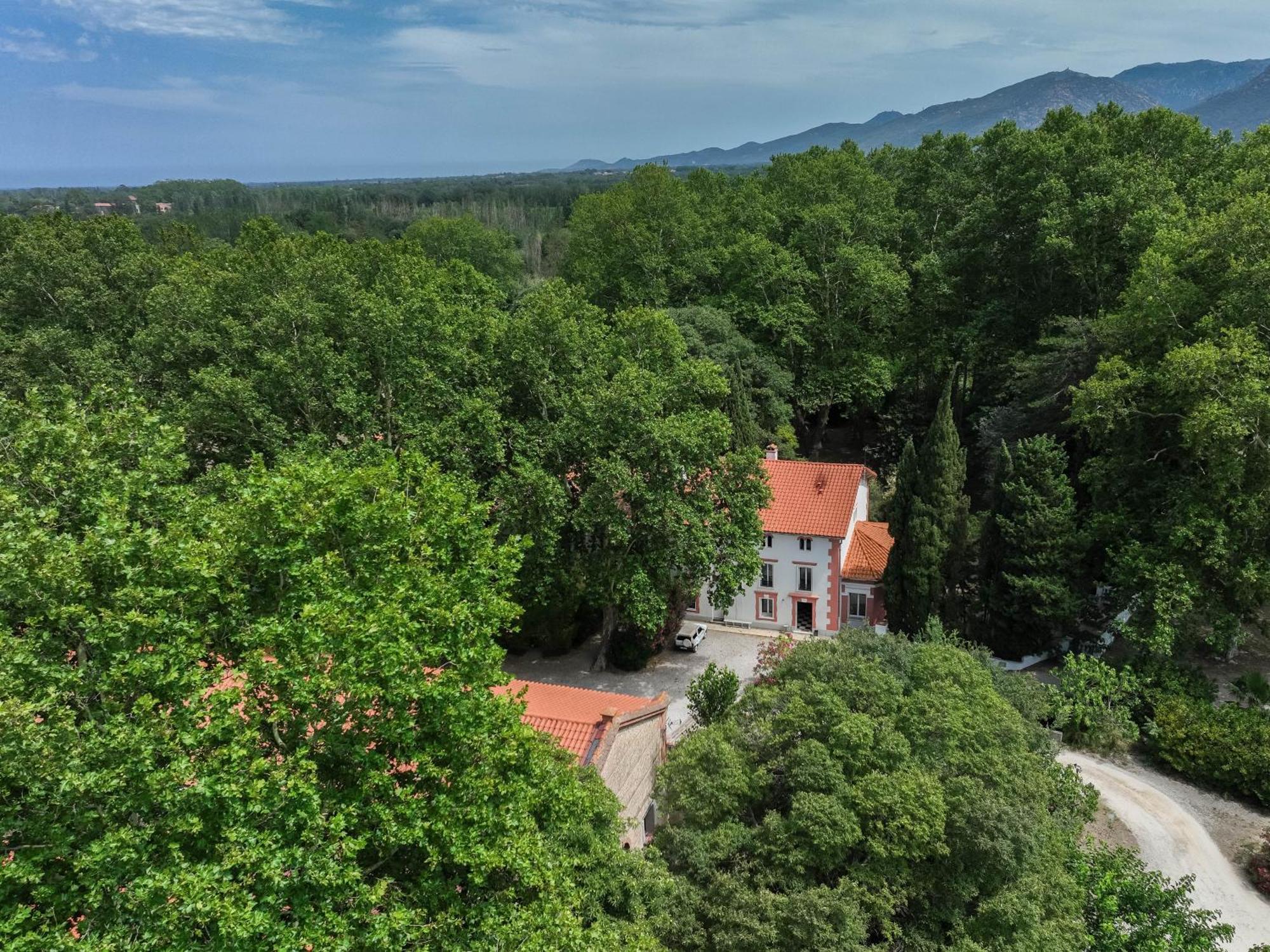 Domaine Castell De Bles Bed & Breakfast Saint-Genis-des-Fontaines Exterior photo